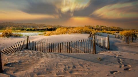 ATA Litchfield Beach