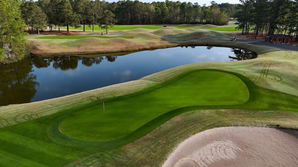 Wild Wing Plantation Avocet