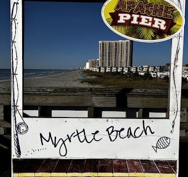 Groupers At the Pier