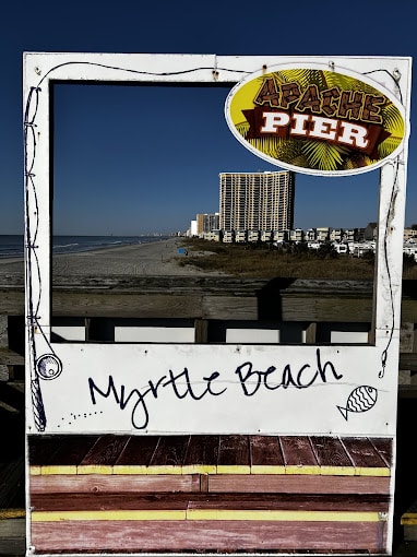 Groupers at the Pier