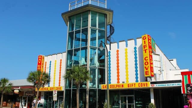 gay dolphin gift cove