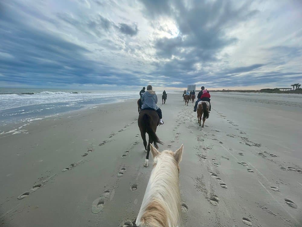 Horseback Riding Of Myrtle Beach