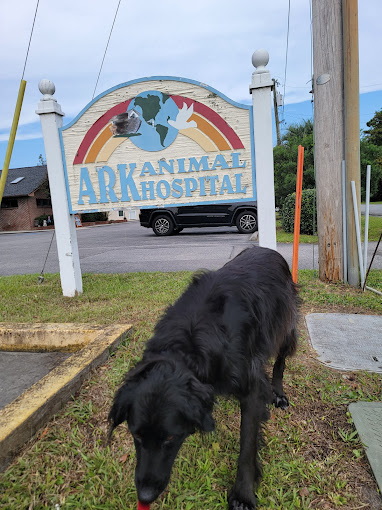 Ark Animal Hospital