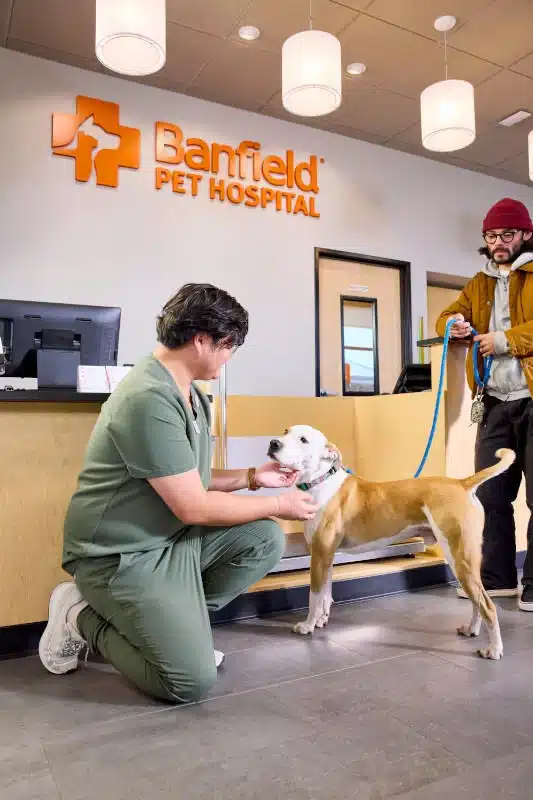 Banfield Pet Hospital – North Myrtle Beach