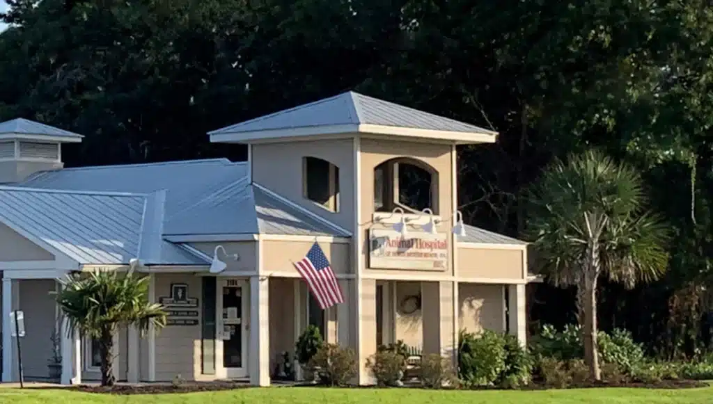 Animal Hospital of North Myrtle Beach