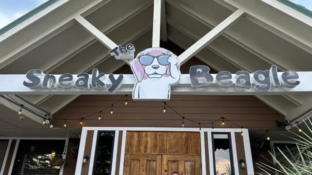 The Sneaky Beagle